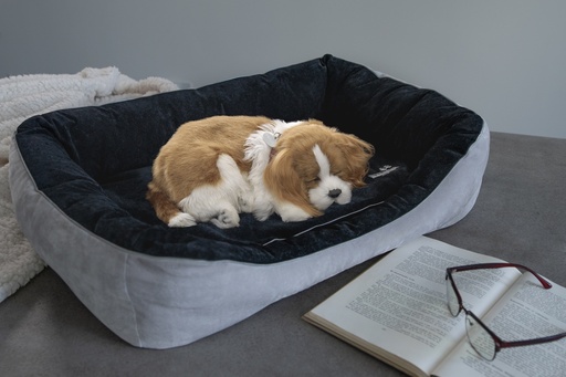 [mmxpet0318it0-60x40] Colchón Magnipet